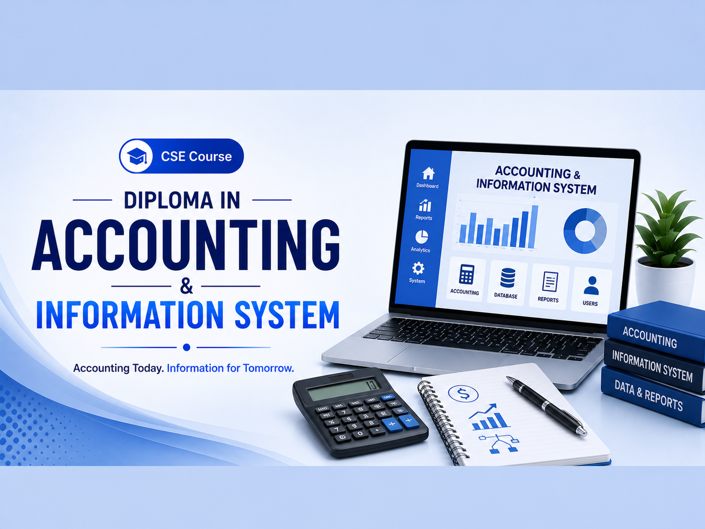 Diploma in Accounting & Information System